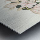 Crinum Scabrum 1834 Metal print