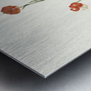 Lilium Pyrenaicum 1834 Metal print