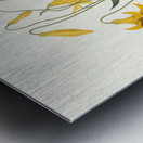 Lilium Canadense. [Canada Lily Wild Yellow Lily] 183400 Metal print