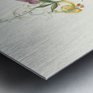 Lilium Pomponium Lilium Chalcedonicum 1834 Metal print