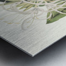 Pancratium Specidsum 1834 Metal print