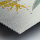 Nerine Aurea. 1834 Metal print