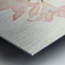 Amaryllis Belladonna 1834 Metal print