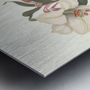 Lilium Japonicum. 1834 Metal print