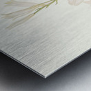 Lilium Candidum 1834 Metal print