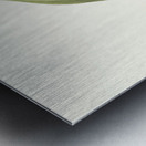 Crinum Yuccæides 1834 Metal print