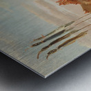 Bull Dance Mandan O-Kee-Pa Ceremony 1832 Metal print