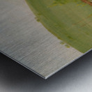 Ball-Play of The Choctaw–Ball Down 1834-1835 Metal print