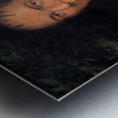 Co-Sne-Boin 1827 Metal print