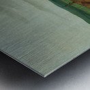 Bird’s-Eye View of The Mandan Village 1800 Miles Above St. Louis 1837-1839 Metal print