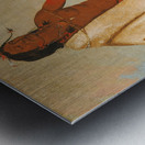 Kotz-A-Tó-Ah Smoked Shield a Distinguished Warrior 1834 Metal print