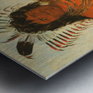 Háh-Nee The Beaver a Warrior 1834 Metal print