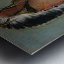 Ee-Áh-Sá-Pa Black Rock a Two Kettle Chief 1832 Metal print