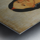 Mi-Néek-Ee-Súnk-Te-Ka Mink a Beautiful Girl 1832 Metal print