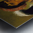 Os-Ce-O-Lá The Black Drink a Warrior of Great Distinction 1838 Metal print