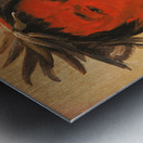 O-Ho-Páh-Sha Small Whoop a Distinguished Warrior 1831 Metal print