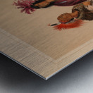 North American Indian Portfolio 1844 Metal print