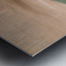 Medicine Buffalo of The Sioux 1837-1839 Metal print