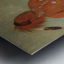 Nóm-Ba-Mon-Nee Double Walker a Brave 1832 Metal print