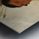 Ni-A-Có-Mo Fix With The Foot a Brave 1830 Metal print