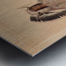 Mah-To-Toh-Pa The Mandan Chief Metal print