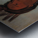 Mah-Tó-Che-Ga Little Bear a Hunkpapa Brave 1832 Metal print