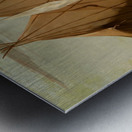 Sioux Dog Feast 1832-1837 Metal print