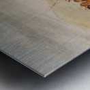 Self-Torture In a Sioux Religious Ceremony 1835-1837 Metal print