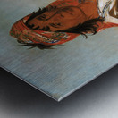 Steeh-Tcha-Kó-Me-Co Great King Called Ben Perryman a Chief 1834 Metal print