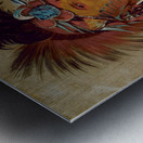 Shó-Me-Kós-See The Wolf a Chief 1832 Metal print