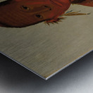 Wa-Sáw-Me-Saw Roaring Thunder Youngest Son of Black Hawk 1832 Metal print