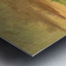 Eagle Dance 1845-1848 Metal print