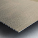 Buffalo Hunt White Wolves Attacking A Buffalo Bull 1844 Metal print