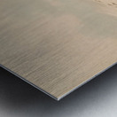 Buffalo Bull in Snow Drift 1844 Metal print