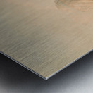 Buffalo Hunt Chasing Back 1844 Metal print