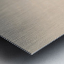 Buffalo Hunt Approaching in a Ravine 1844 Metal print