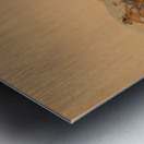 Buffalo Hunt Chase 1844 Metal print