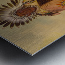 Wán-Ee-Ton Chief of The Tribe 1832 Metal print