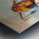 Non-on-dá-gon a Chief 1830 Metal print