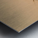 Attacking the Grizzly Bear 1844 Metal print