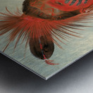 Wash-ka-mon-ya Fast Dancer a Warrior 1844-1845 Metal print