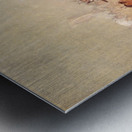 Pipe Dance Assiniboine 1835-1837 Metal print