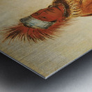 W’y-Ee-Yogh Man of Sense a Brave 1832 Metal print