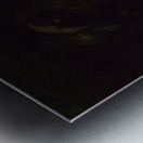 Portraits of a Grizzly Bear and Mouse Life Size 1846-1848 Metal print