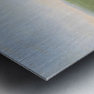 Sham Fight Mandan Boys 1832-1833 Metal print