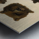 Portraits of Two Grizzly Bears From Life 1839-1840 Metal print