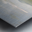 White Wolves Attacking a Buffalo Bull 1832-1833 Metal print