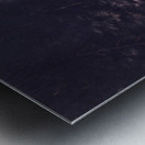 Deer Hunting By Torchlight In Bark Canoes 1846-1848 Metal print