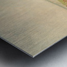 Mandan Attacking A Party Of Arikara 1832-1833 Metal print