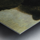 Weapons and Physiognomy of the Grizzly Bear 1846-1848 Metal print